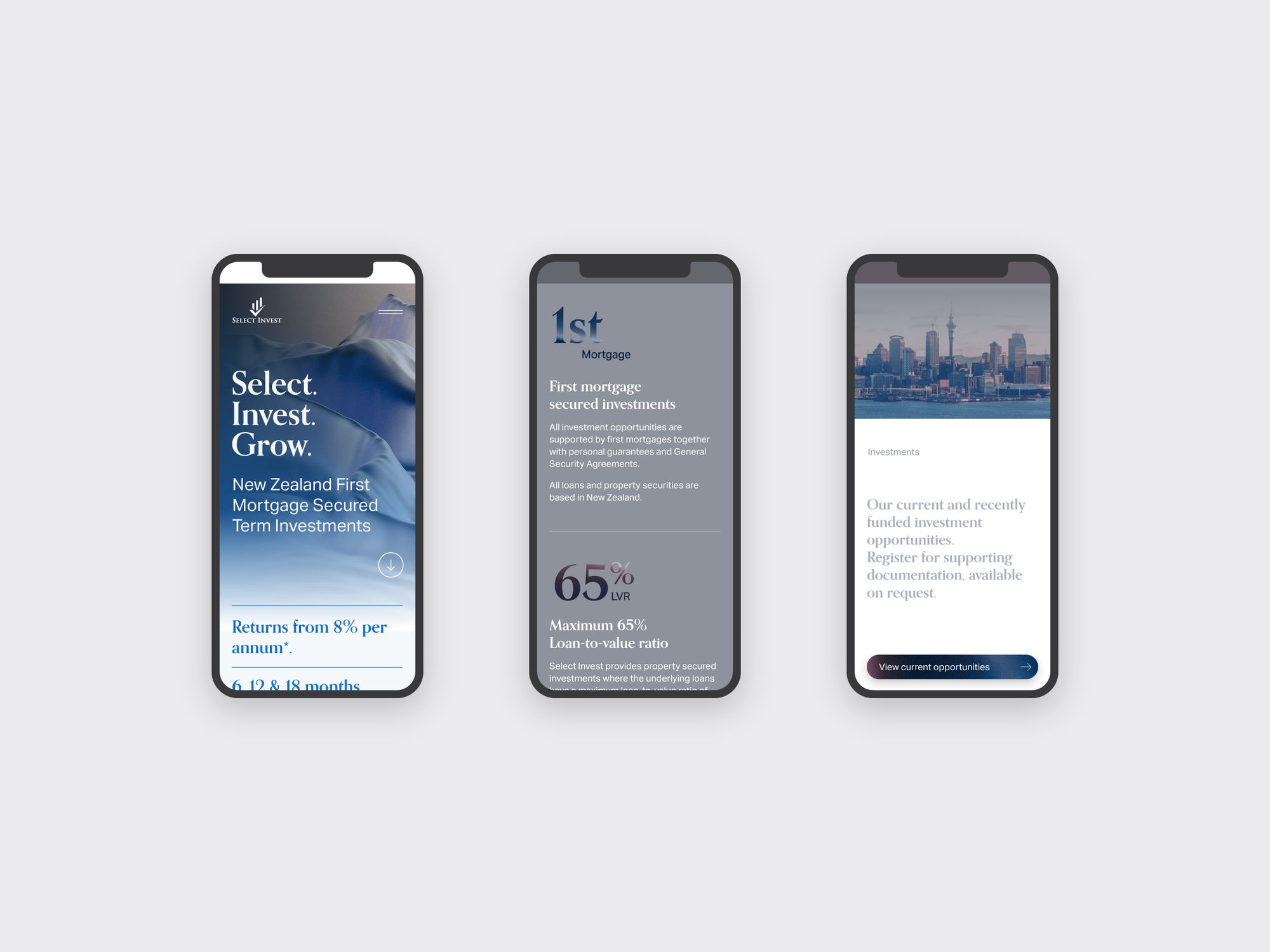Select Invest, image 3